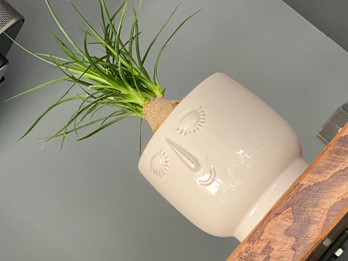コッカーマス Pillar Houseヴィラ エクステリア 写真